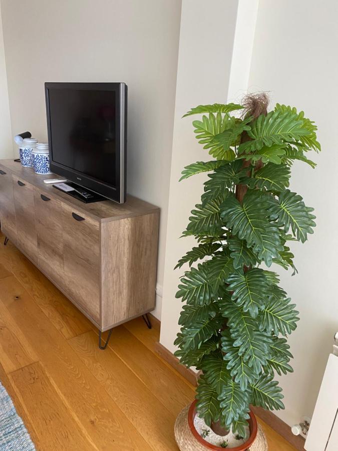Apartament Voila Catedral Tudela Zewnętrze zdjęcie